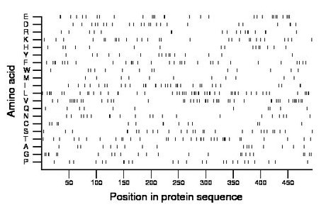 amino acid map