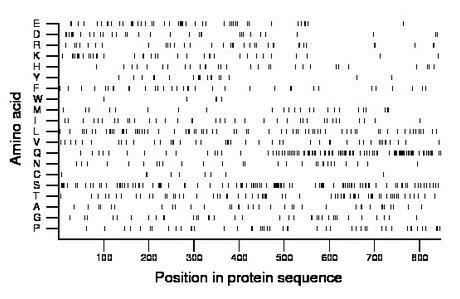 amino acid map