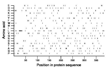 amino acid map