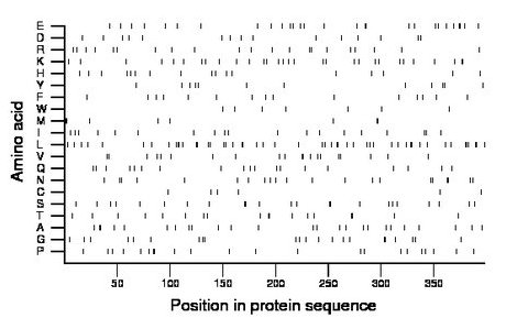 amino acid map