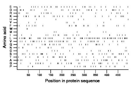 amino acid map