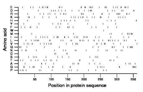 amino acid map