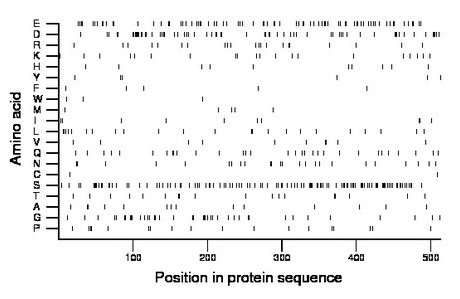 amino acid map