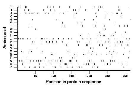 amino acid map