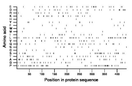 amino acid map