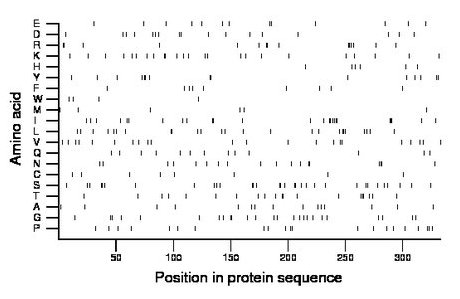 amino acid map