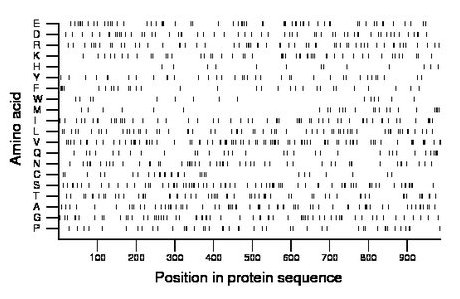 amino acid map