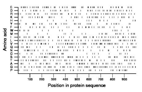 amino acid map