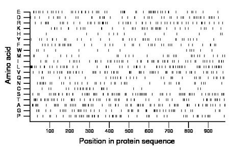 amino acid map