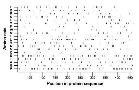 amino acid map