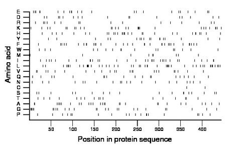 amino acid map