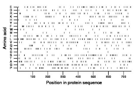 amino acid map