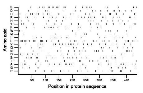 amino acid map