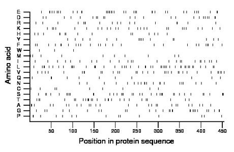 amino acid map