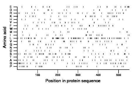 amino acid map