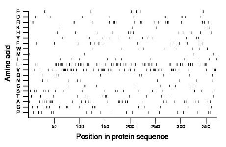 amino acid map