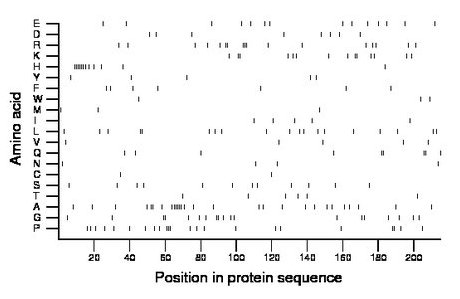 amino acid map