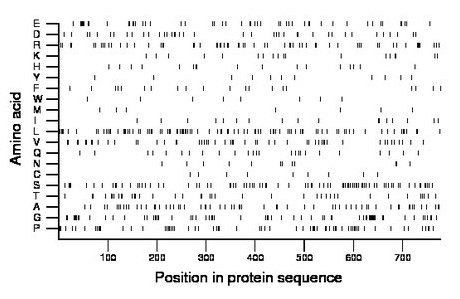 amino acid map