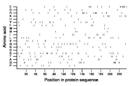 amino acid map