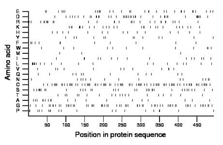 amino acid map