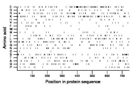 amino acid map