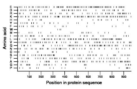 amino acid map