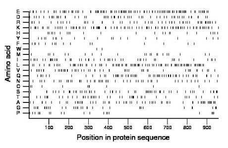 amino acid map