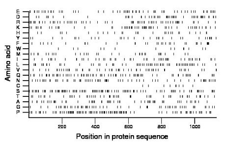 amino acid map