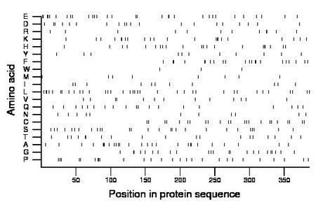 amino acid map