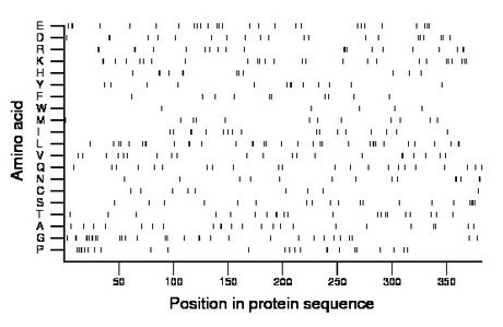 amino acid map