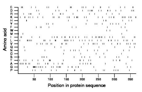 amino acid map