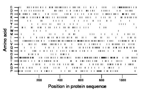 amino acid map