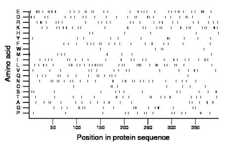 amino acid map