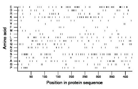 amino acid map