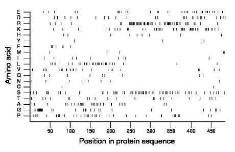 amino acid map