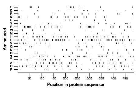 amino acid map