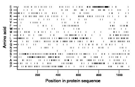 amino acid map