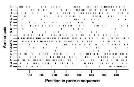 amino acid map