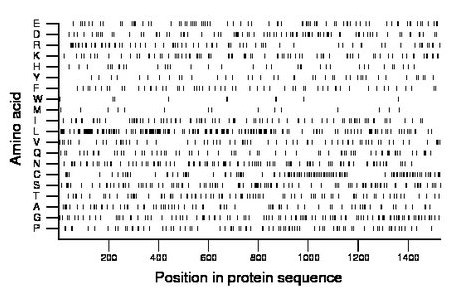 amino acid map