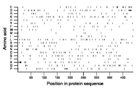 amino acid map