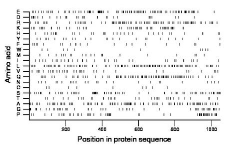 amino acid map