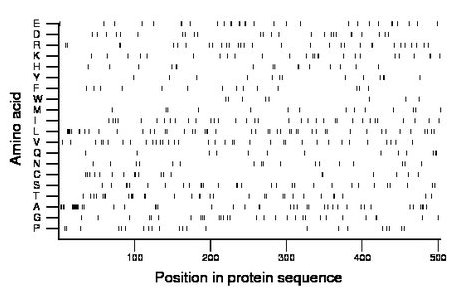 amino acid map