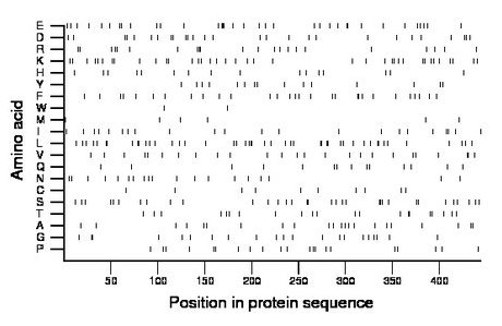 amino acid map