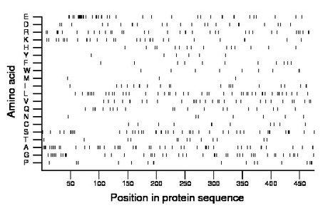 amino acid map