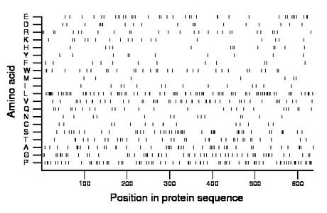 amino acid map