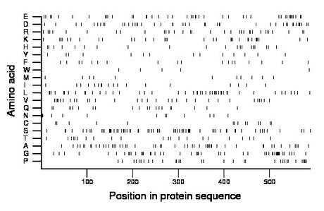 amino acid map