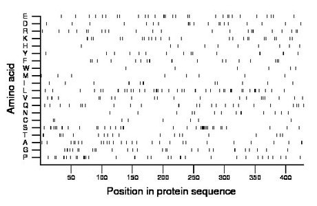 amino acid map