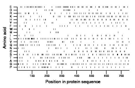 amino acid map