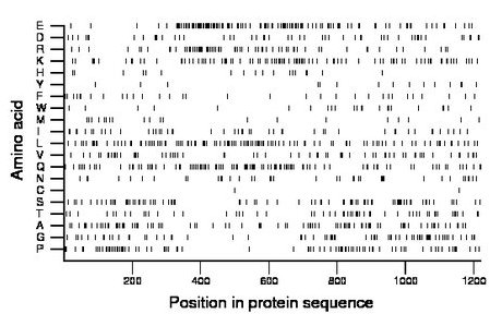 amino acid map