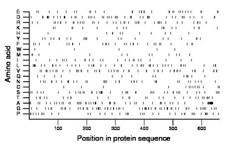 amino acid map